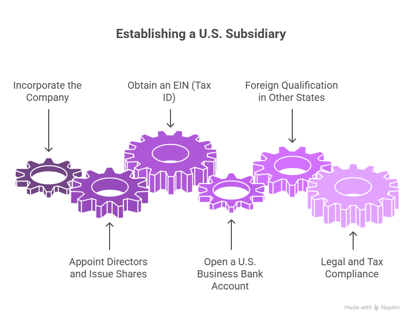 establish a us subsidiary