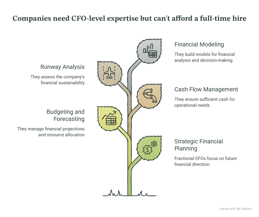 What Is a Fractional CFO_ - visual selection (1)