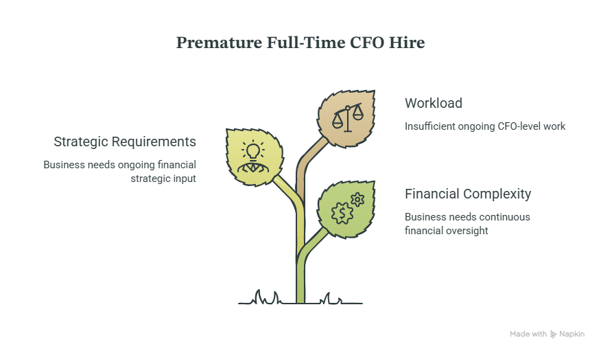 What Is a Fractional CFO_ - visual selection